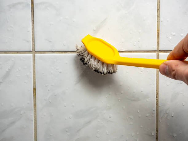 Best Residential Mold Removal  in Marshall, IL