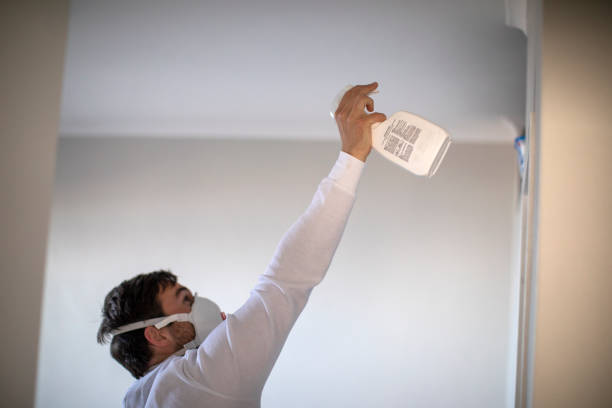 Best Mold Remediation  in Marshall, IL