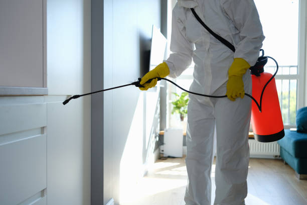 Water Damage Restoration in Marshall, IL