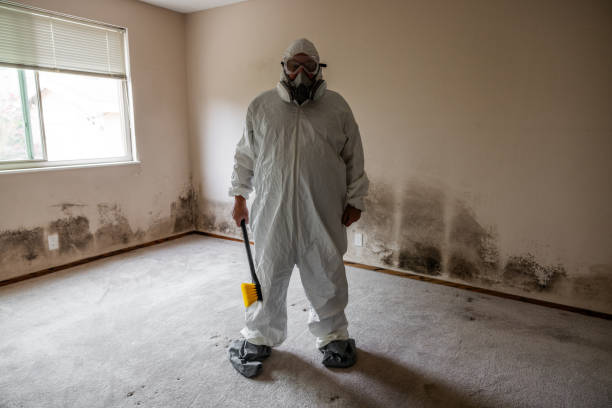 Best Mold Testing  in Marshall, IL